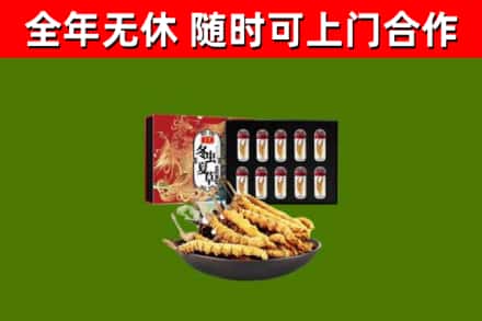 东营回收冬虫夏草价格