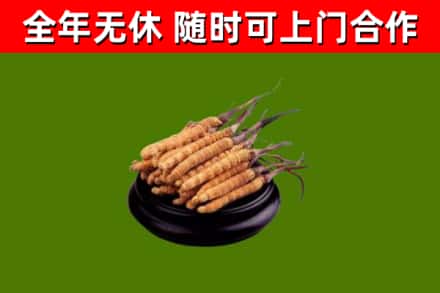 东营烟酒回收冬虫夏草.jpg