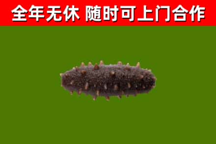 东营烟酒回收干海参.jpg